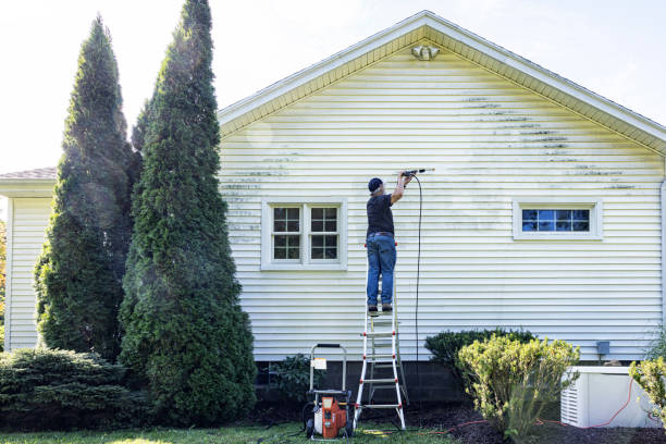 Best Driveway Pressure Washing  in Byng, OK